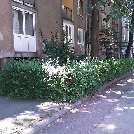 Near Center Sarajevo